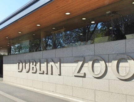 dublin-zoo-istock-1920x1080-1