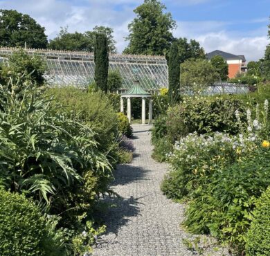 National Botanic Garden, Glasnevin, Co Dublin_Web Size